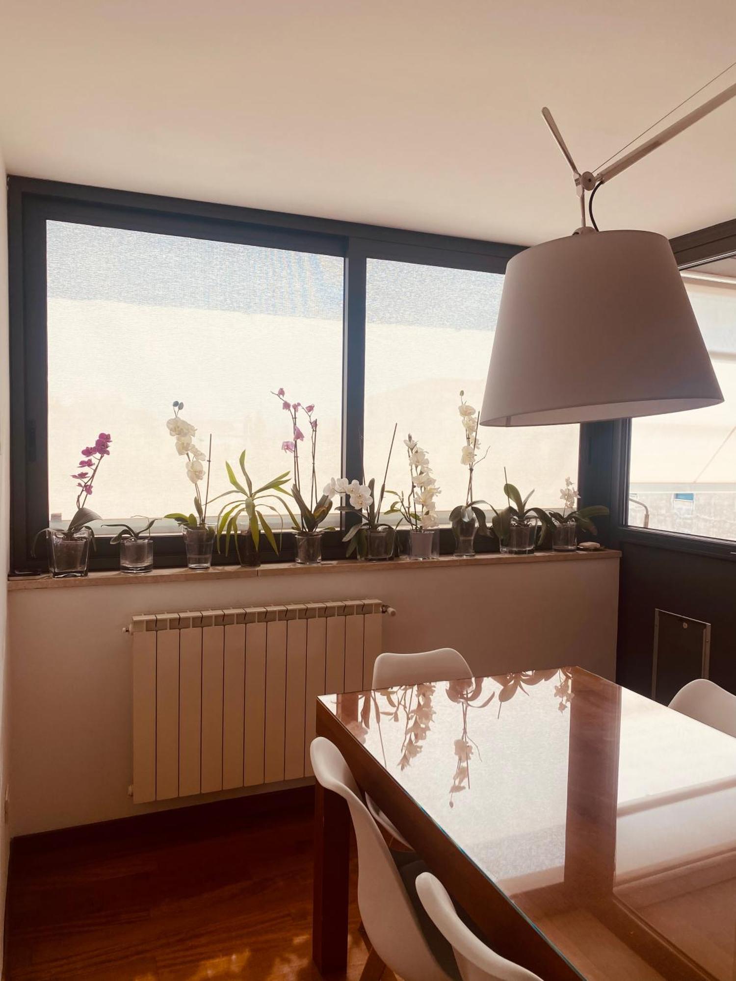 佛罗伦萨La Casa Di Dani公寓 外观 照片