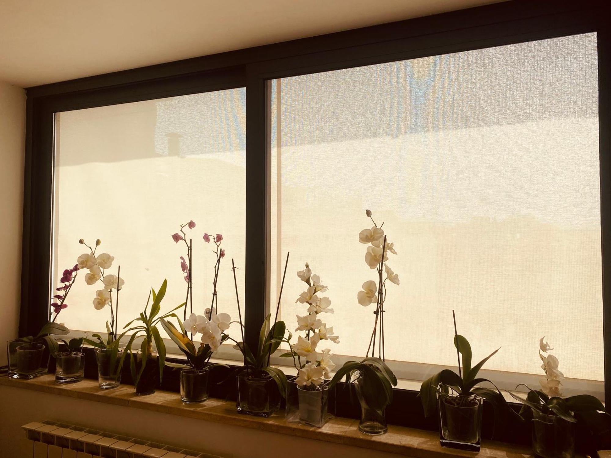 佛罗伦萨La Casa Di Dani公寓 外观 照片